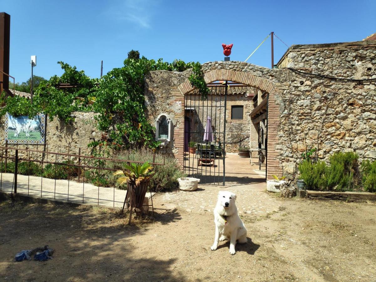 Mas Del Llop Blanc - Dog Friendly Hostal Rural - B&B Sobrestany Eksteriør billede