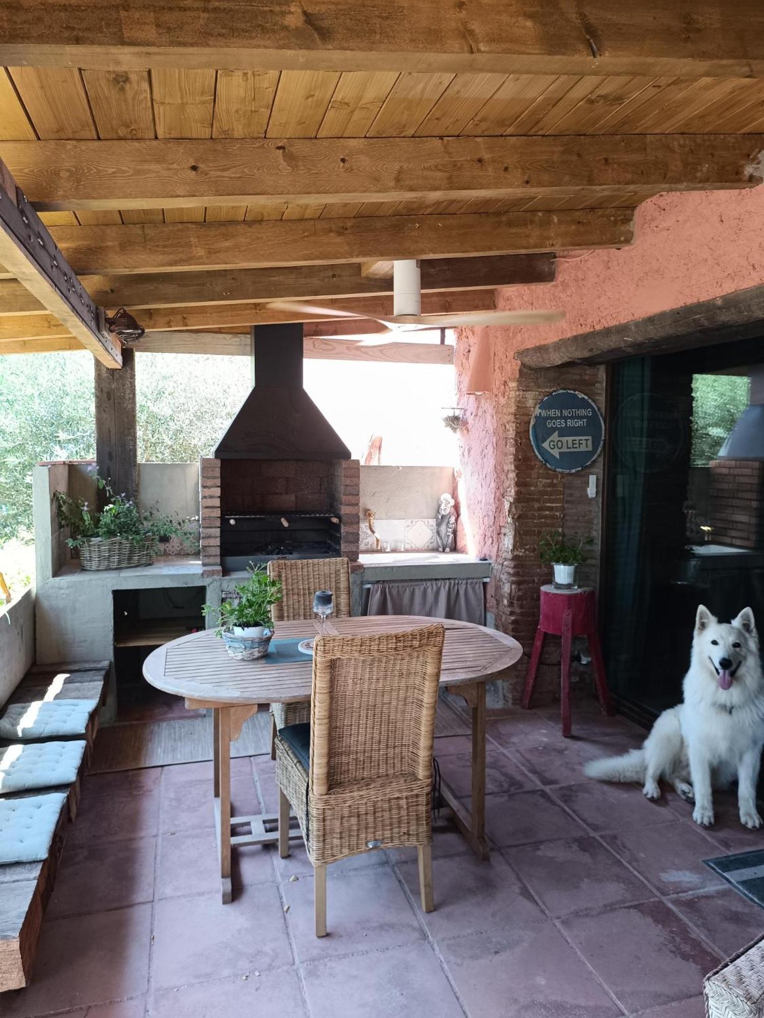 Mas Del Llop Blanc - Dog Friendly Hostal Rural - B&B Sobrestany Eksteriør billede